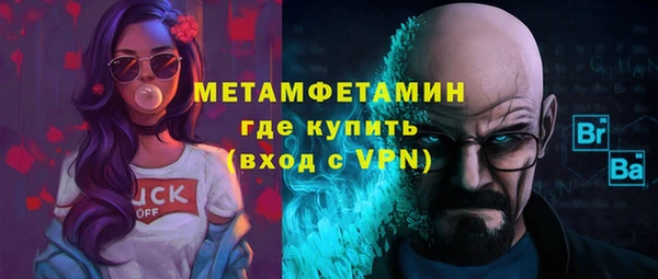 прущие грибы Богданович