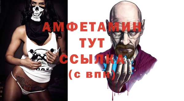 гидра Богородицк