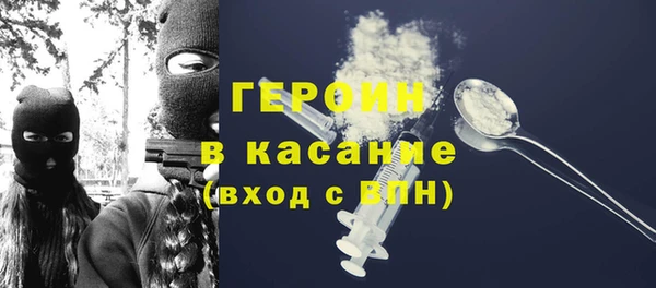 гидра Богородицк