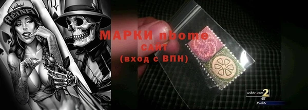 прущие грибы Богданович