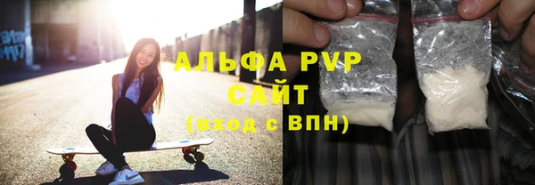 гидра Богородицк