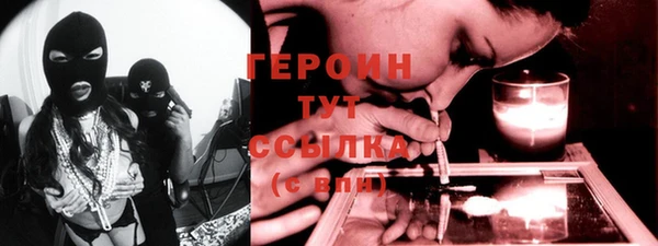 гидра Богородицк