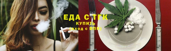 гидра Богородицк