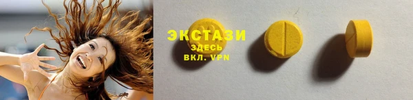 гидра Богородицк