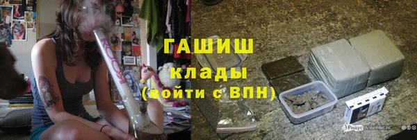гидра Богородицк