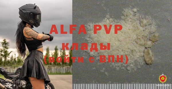 гидра Богородицк