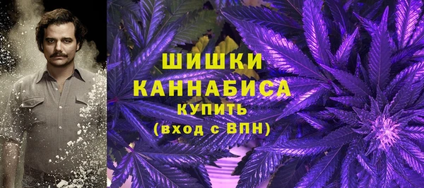 прущие грибы Богданович