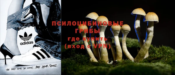 гидра Богородицк