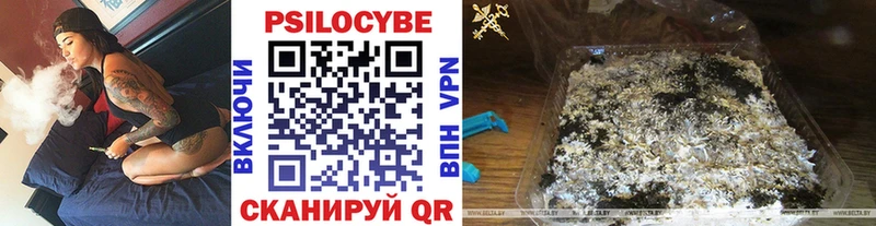 магазин продажи наркотиков  Купино  Псилоцибиновые грибы мицелий 